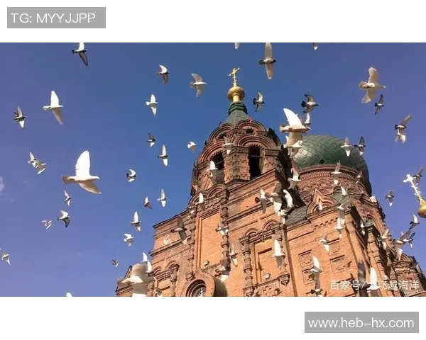 武汉极限运动队的奋斗历程与激情瞬间全景纪实